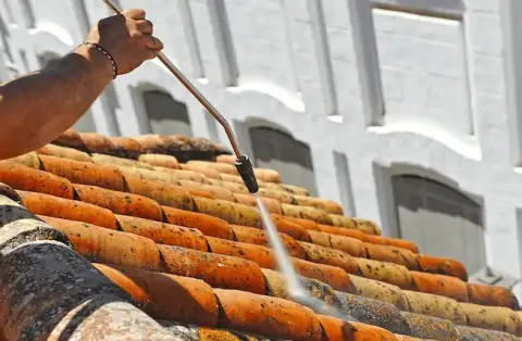 Nettoyage de toitures - Chanas